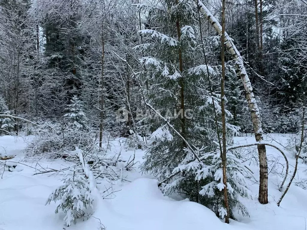 Участок в Московская область, Щелково городской округ, д. Вторая ... - Фото 1