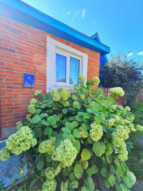 Дом 74,5 м на участке 6 сот. - Фото 0