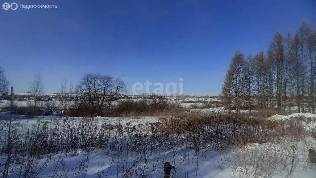 Участок в Искитимский район, Чернореченский сельсовет, садовое ... - Фото 0