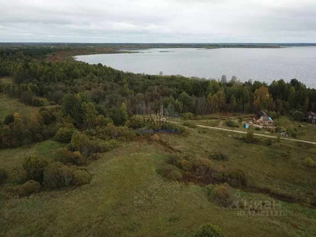 Участок в Новгородская область, Боровичский район, Железковское с/пос, ... - Фото 1