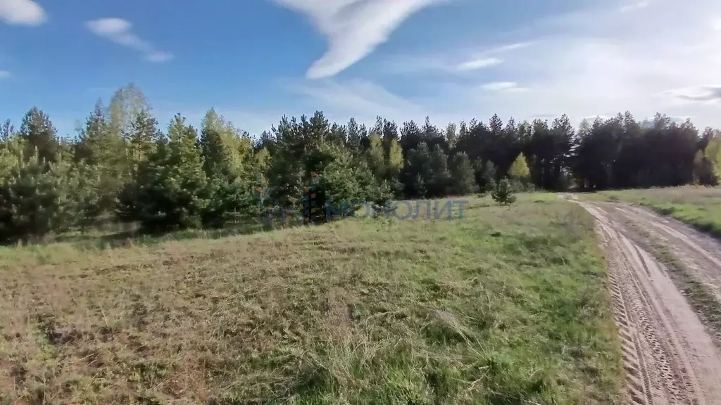 Участок в Нижегородская область, Дальнеконстантиновский муниципальный ... - Фото 1