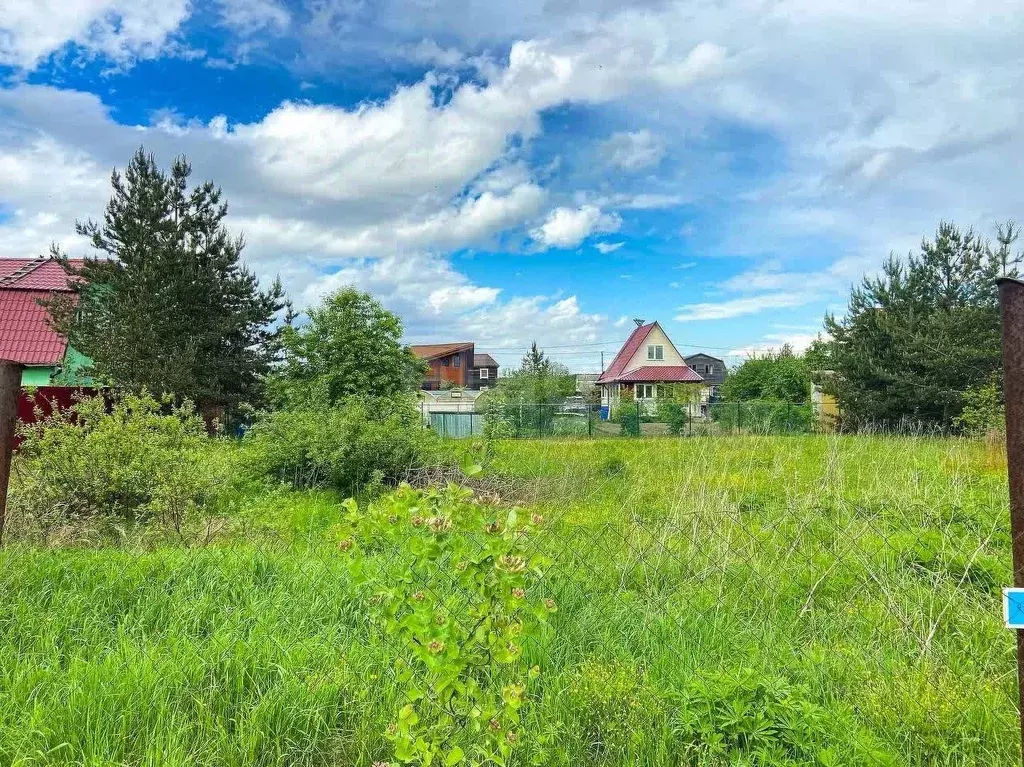Участок в Ленинградская область, Ломоносовский район, Аннинское ... - Фото 0