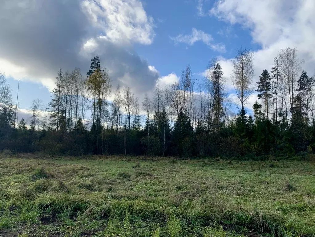 Участок в Ленинградская область, Приозерский район, Раздольевское ... - Фото 2
