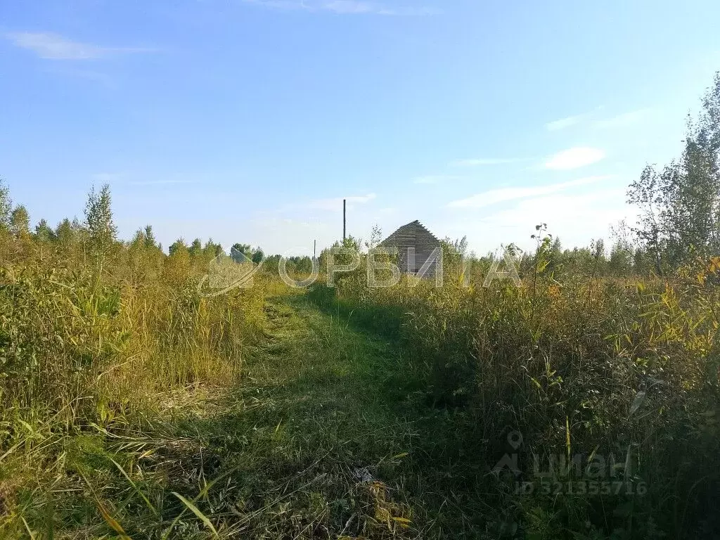 Участок в Тюменская область, Нижнетавдинский район, Сочинские СНТ  ... - Фото 1