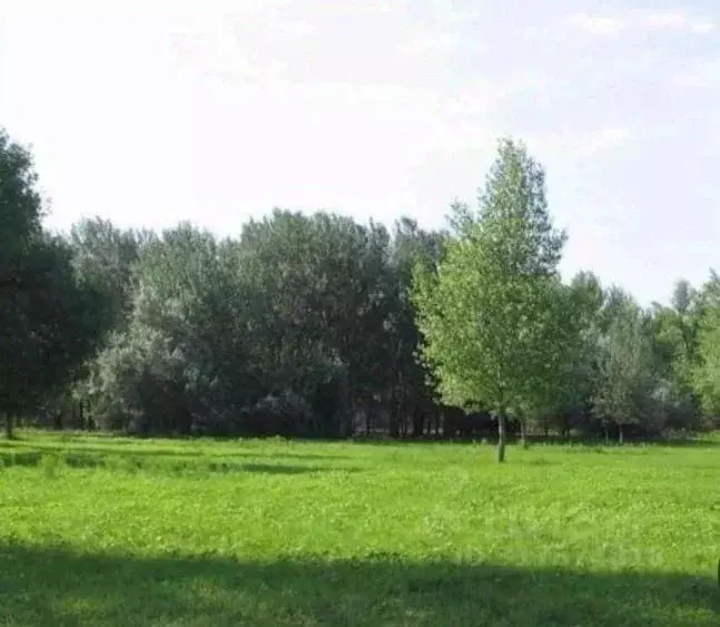 Участок в Волгоградская область, Среднеахтубинский район, Клетское ... - Фото 1