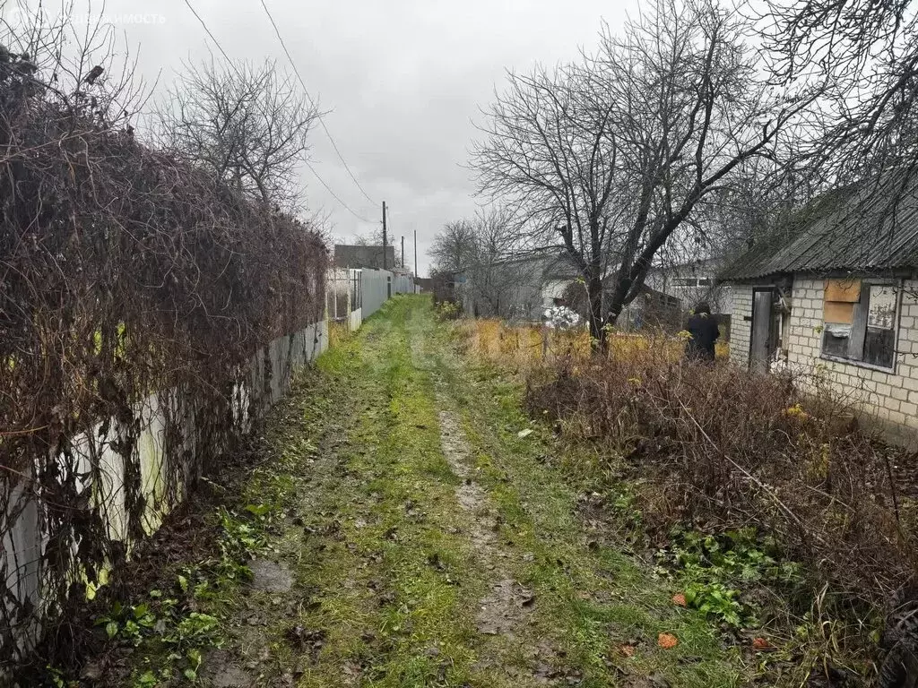 Дом в Супоневское сельское поселение, СДТ Чайка (10 м) - Фото 1