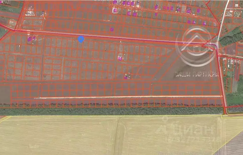 Участок в Воронежская область, Семилукский район, Губаревское с/пос, ... - Фото 2