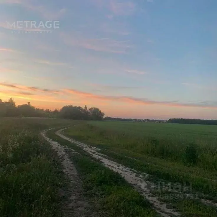 Участок в Новосибирская область, Колыванский район, д. Малый Оеш ... - Фото 0