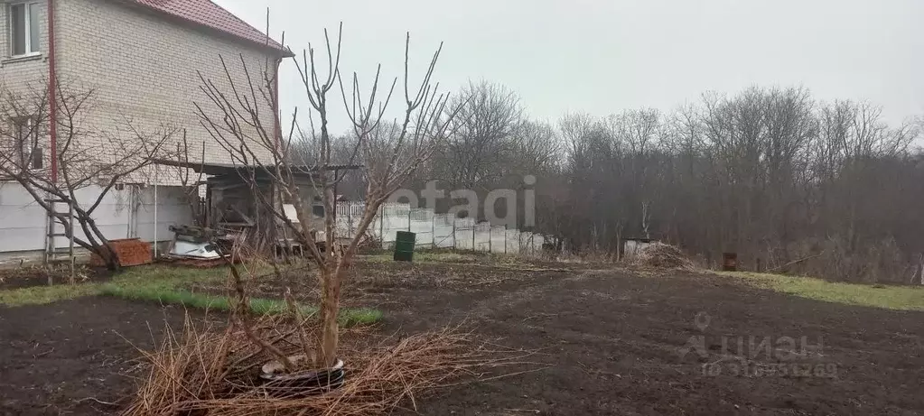 Участок в Белгородская область, Белгородский район, Дубовское с/пос, ... - Фото 1