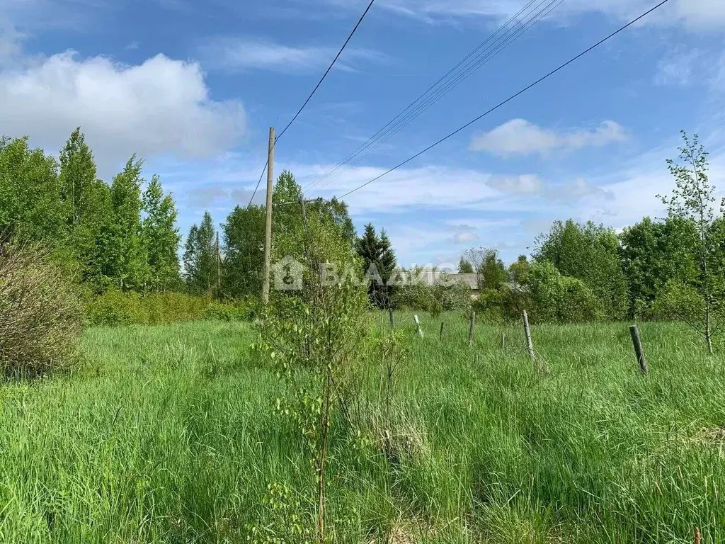 Участок в Карелия, Олонецкое городское поселение, д. Капшойла  (33.0 ... - Фото 2