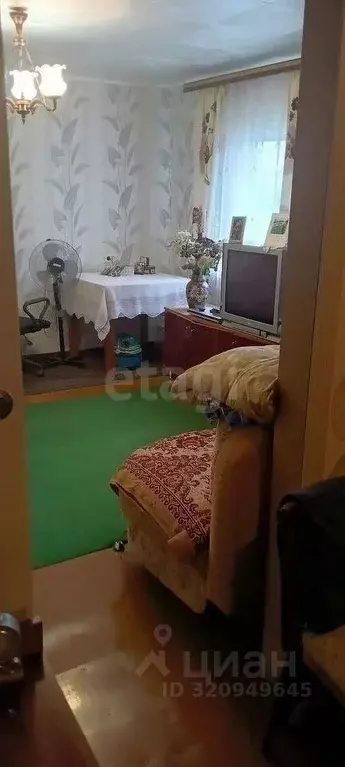 Дом в Воронежская область, Хохольский район, с. Гремячье Пролетарская ... - Фото 1