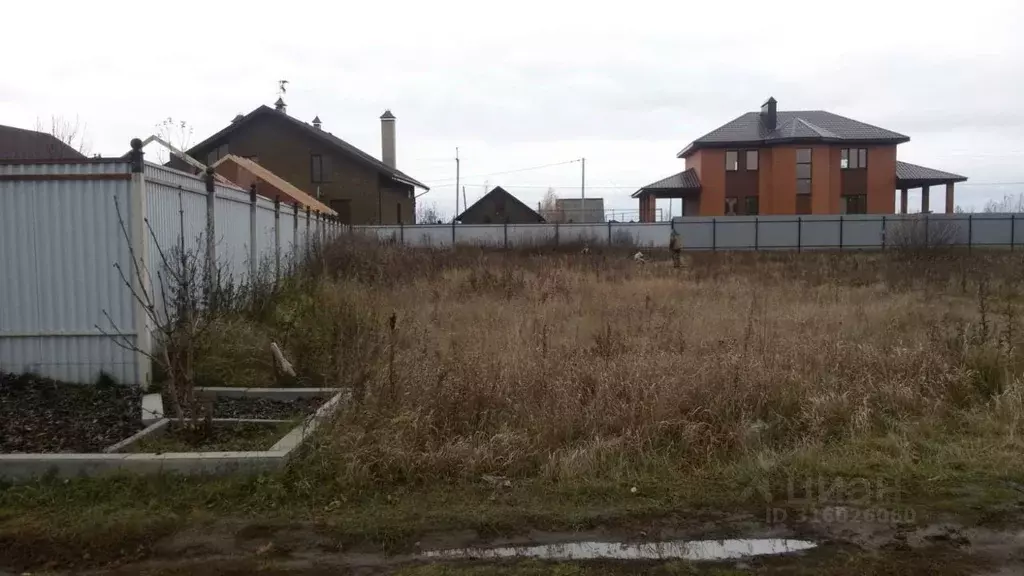 Участок в Тамбовская область, Тамбовский муниципальный округ, Заречье ... - Фото 2