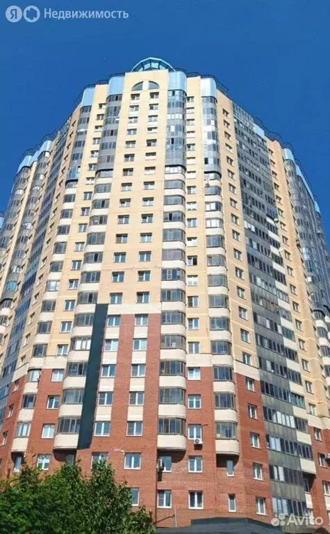Квартира-студия: Санкт-Петербург, Российский проспект, 8 (26 м) - Фото 1