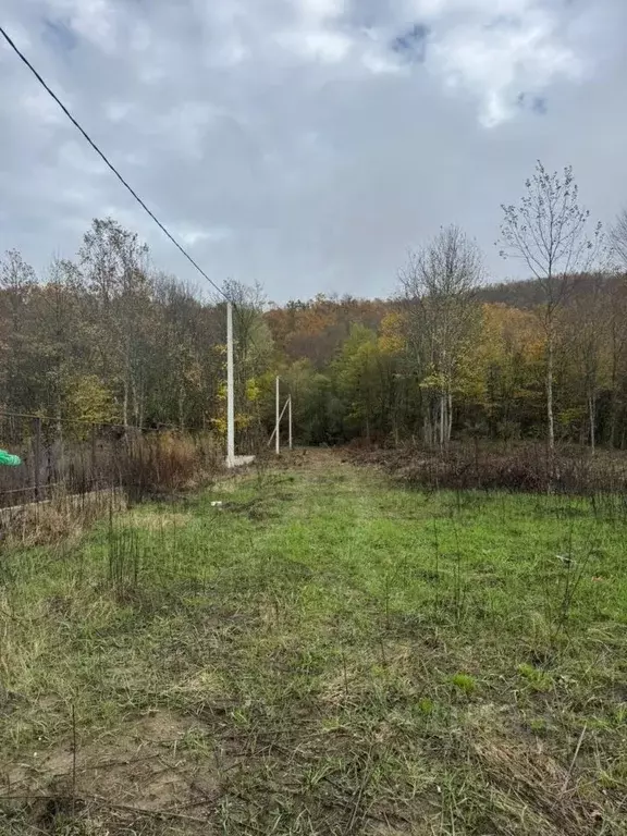 Участок в Краснодарский край, Белореченский район, Пшехское с/пос  ... - Фото 2