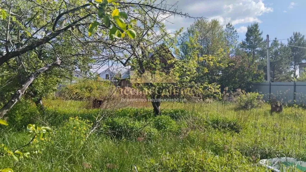 Участок в Татарстан, Лаишевский район, Нармонское с/пос, с. Карадули ... - Фото 1