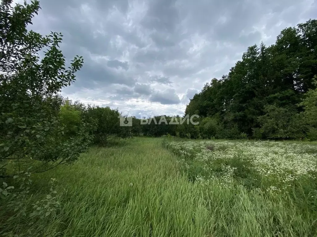 Участок в Белгородская область, Белгородский район, Хохловское с/пос, ... - Фото 1