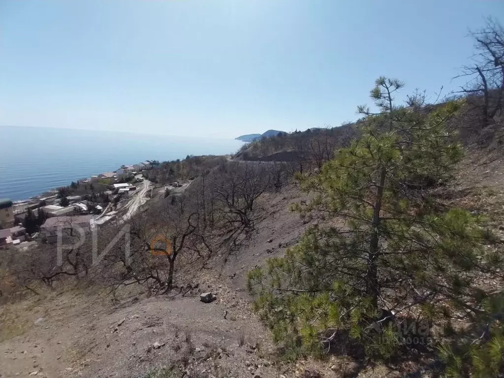 Участок в Крым, Алушта муниципальный округ, пос. Семидворье ул. ... - Фото 2