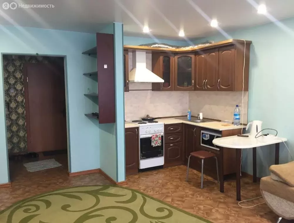 Квартира-студия: село Чигири, 1-я Тепличная улица, 18 (31 м) - Фото 0