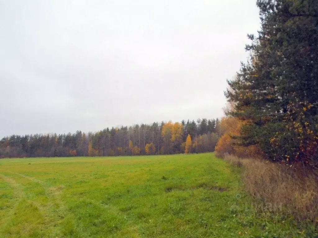 Участок, 250 сот., фермерское хоз-во - Фото 0