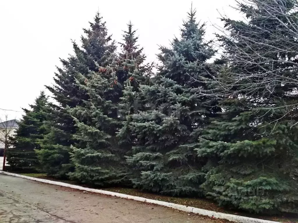 Дом в Ставропольский край, Ставрополь Азовская ул., 64/13 (1500 м) - Фото 1