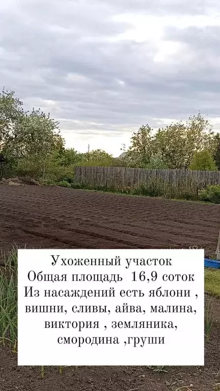 Дом в Свердловская область, Туринск ул. Свердлова, 64 (140 м) - Фото 2