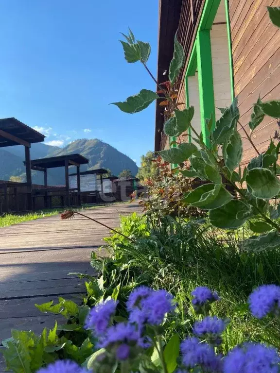 Помещение свободного назначения в Алтай, Чемальский район, с. Чемал ... - Фото 2