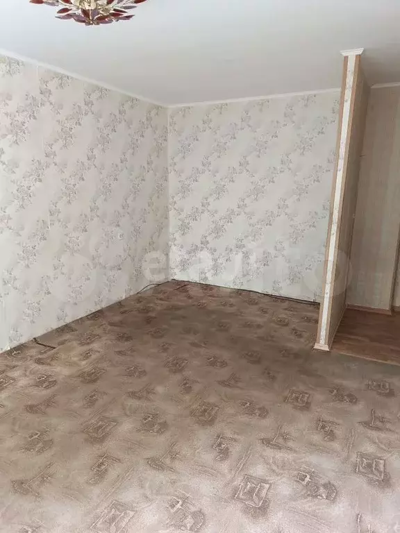 1-к. квартира, 29 м, 1/5 эт. - Фото 1