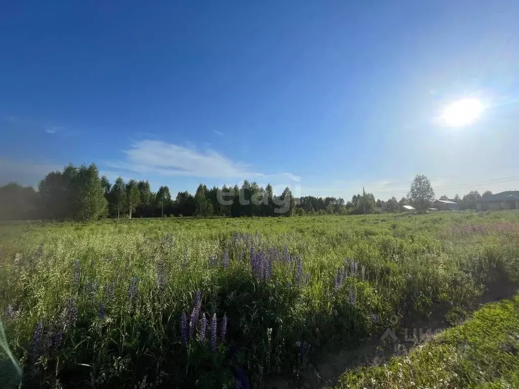 Участок в Удмуртия, Завьяловский район, д. Крестовоздвиженское  (10.8 ... - Фото 0