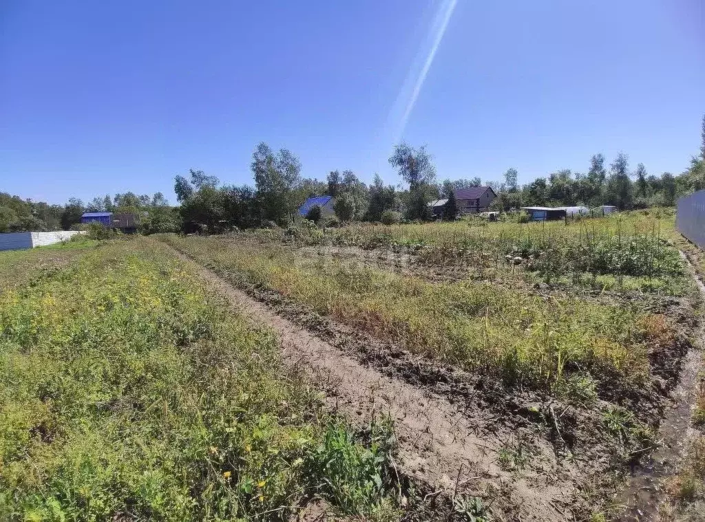 Участок в Хабаровский край, Хабаровский район, с. Сосновка  (16.6 ... - Фото 2