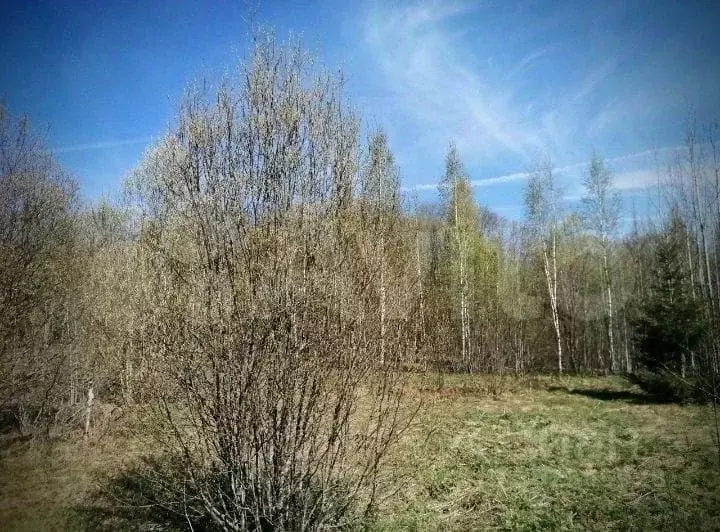 Участок в Новгородская область, Маловишерский район, Бургинское с/пос, ... - Фото 0