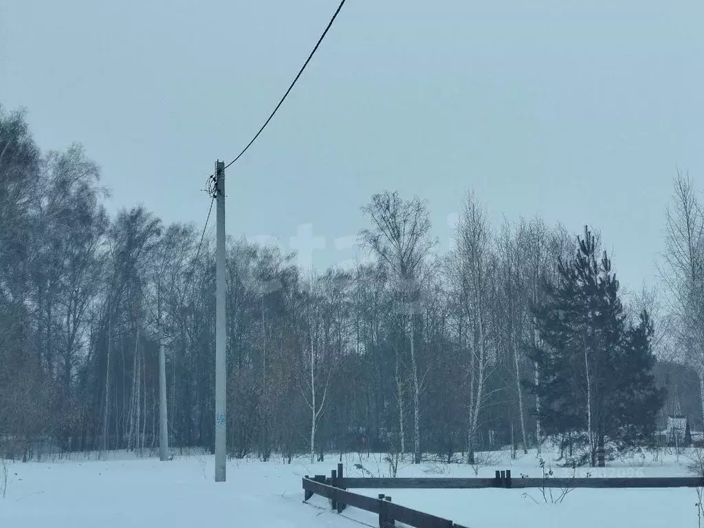 Участок в Новосибирская область, Бердск Орбита СНТ, ул. 1-я, 30 (6.0 ... - Фото 1