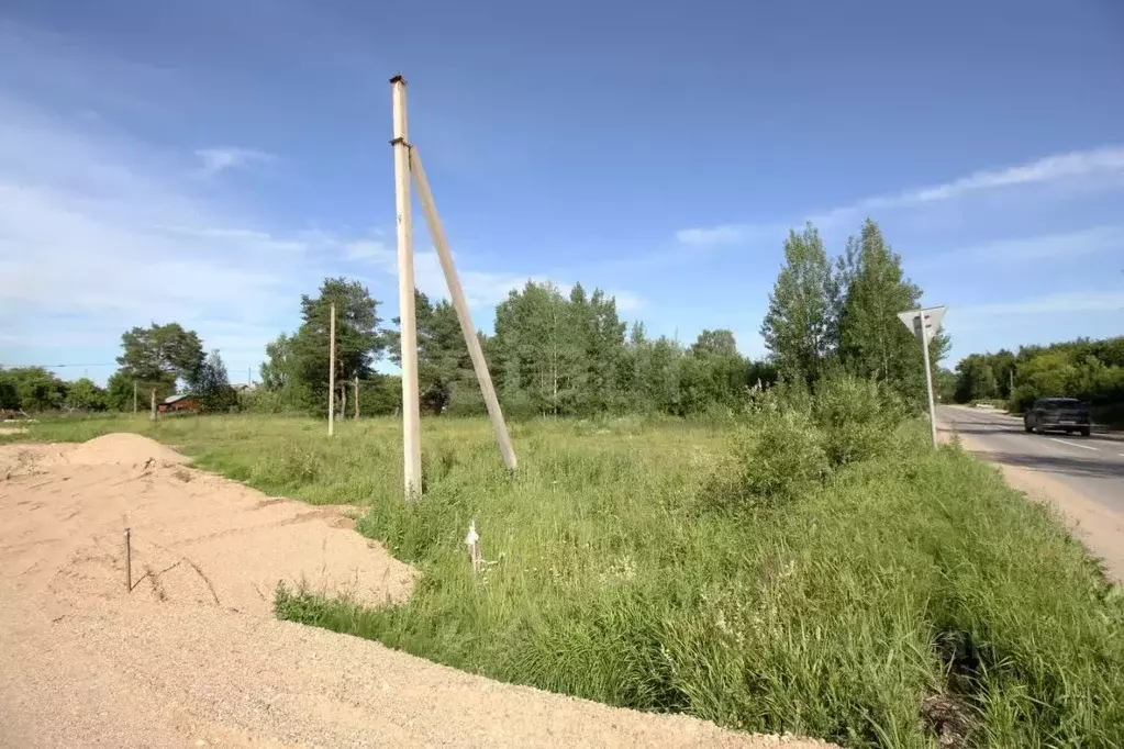 Участок в Вологодская область, Шекснинский муниципальный округ, ... - Фото 1