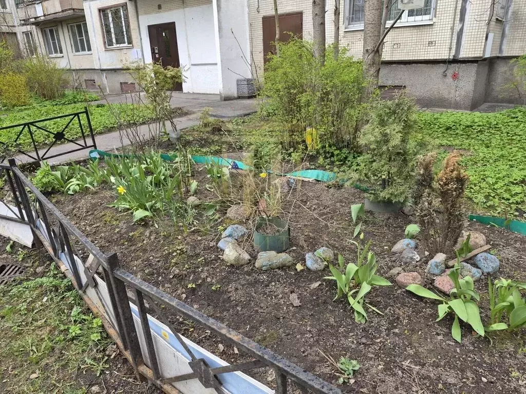 2-к кв. Санкт-Петербург просп. Художников, 33К1 (50.2 м) - Фото 1