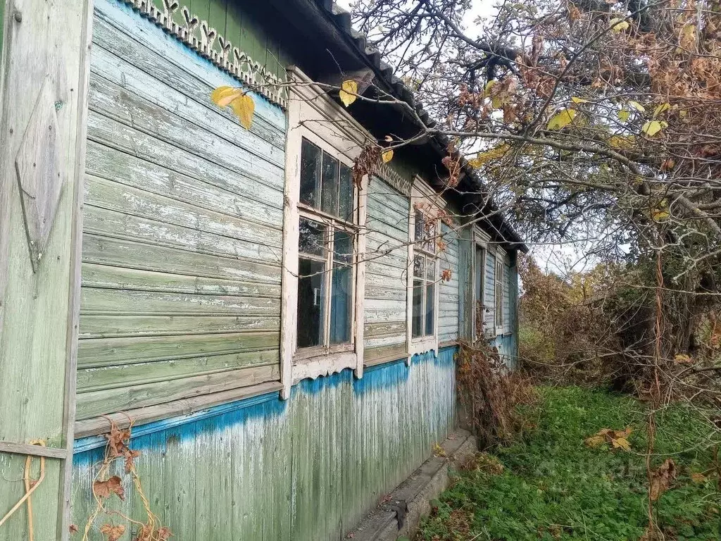 Участок в Псковская область, Островский муниципальный округ, д. ... - Фото 1