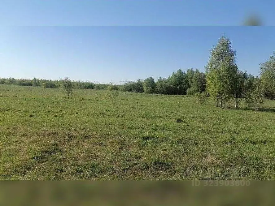 Участок в Московская область, Сергиево-Посадский городской округ, д. ... - Фото 1