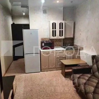 Студия Новосибирская область, Новосибирск ул. Виктора Уса, 15 (20.0 м) - Фото 2