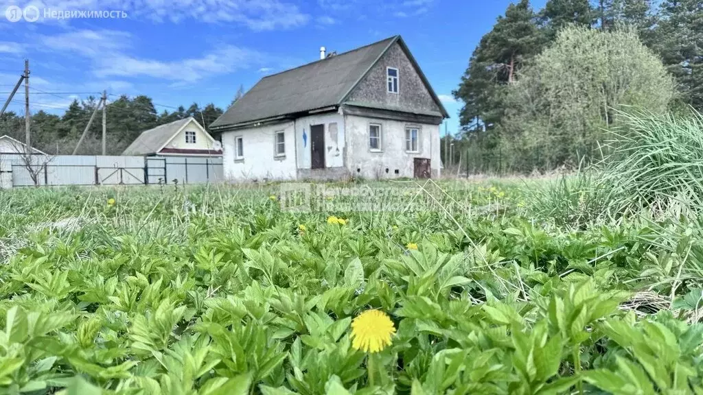 Дом в Сясьстрой, Лесная улица, 28 (60.5 м) - Фото 1