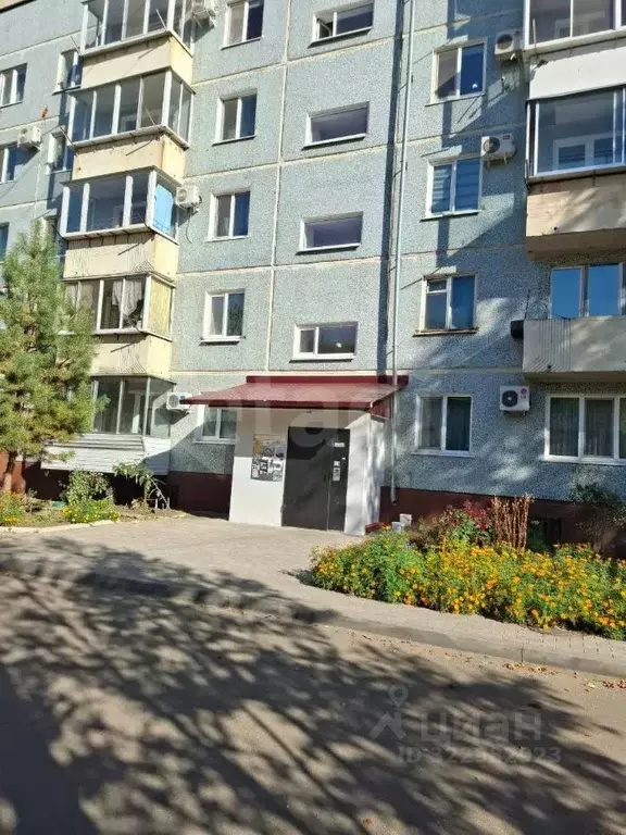 1-к кв. Амурская область, Благовещенск ул. Чайковского, 110 (35.4 м) - Фото 2