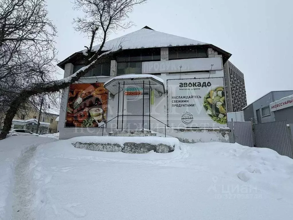 Торговая площадь в Пензенская область, Пенза ул. Кураева, 49 (65 м) - Фото 1