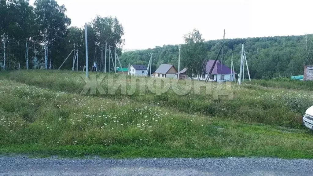 Участок в Новосибирская область, Новосибирский район, Раздольненский ... - Фото 1