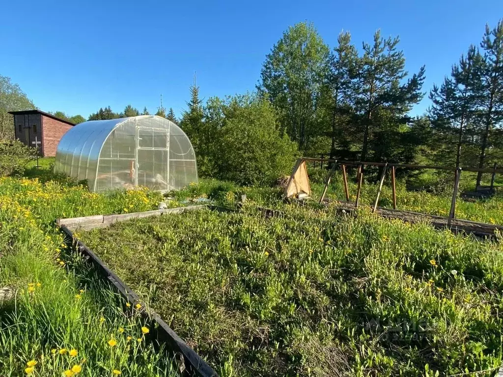 Дом в Ленинградская область, Выборгский район, пос. Селезнево  (59 м) - Фото 2