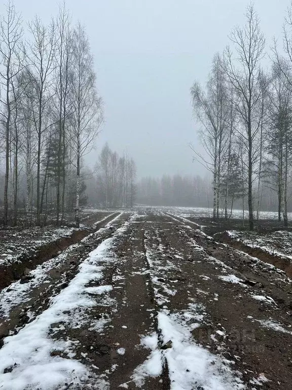 Участок в Новгородская область, Новгородский район, Бронницкое с/пос, ... - Фото 1