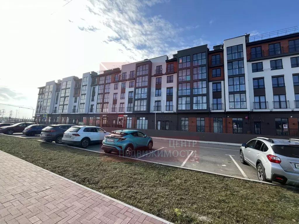 Помещение свободного назначения (50.3 м) - Фото 2