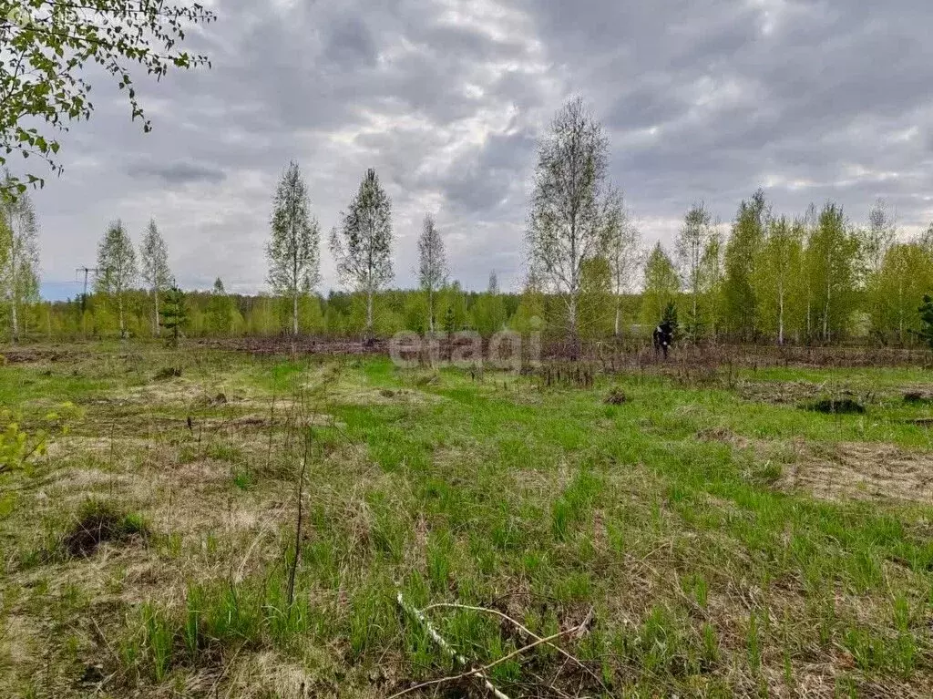 Участок в село Большие Харлуши, коттеджный посёлок Новые Харлуши (5.9 ... - Фото 1