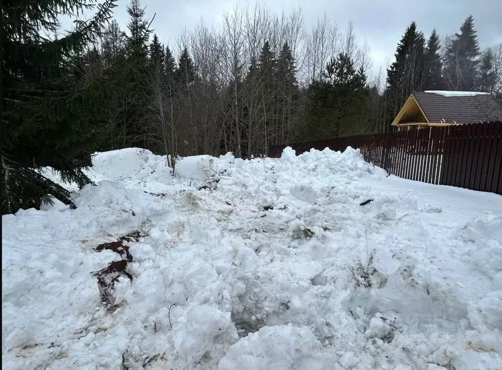 Участок в Московская область, Истра муниципальный округ, с. Надеждино  ... - Фото 1
