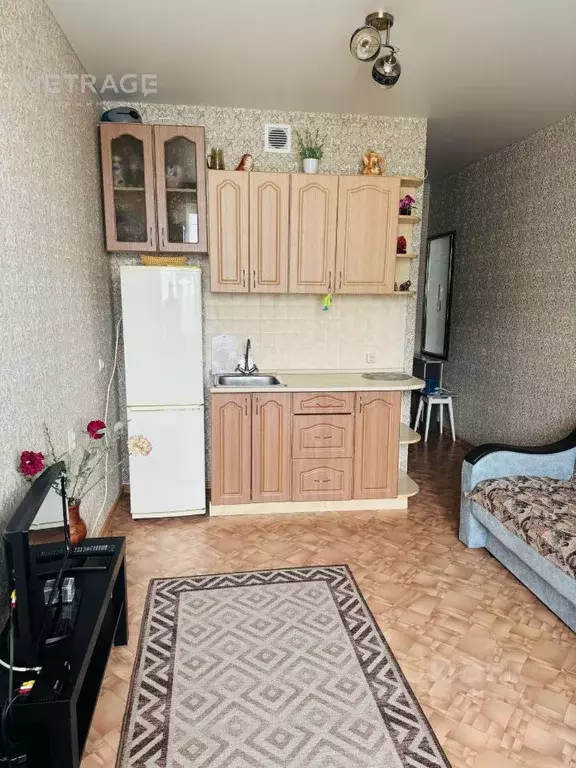 Студия Новосибирская область, Новосибирск Березовая ул., 15 (21.0 м) - Фото 0