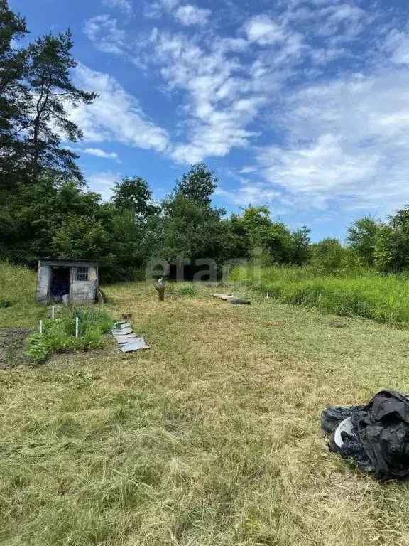 Участок в Калининградская область, Светловский городской округ, пос. ... - Фото 1