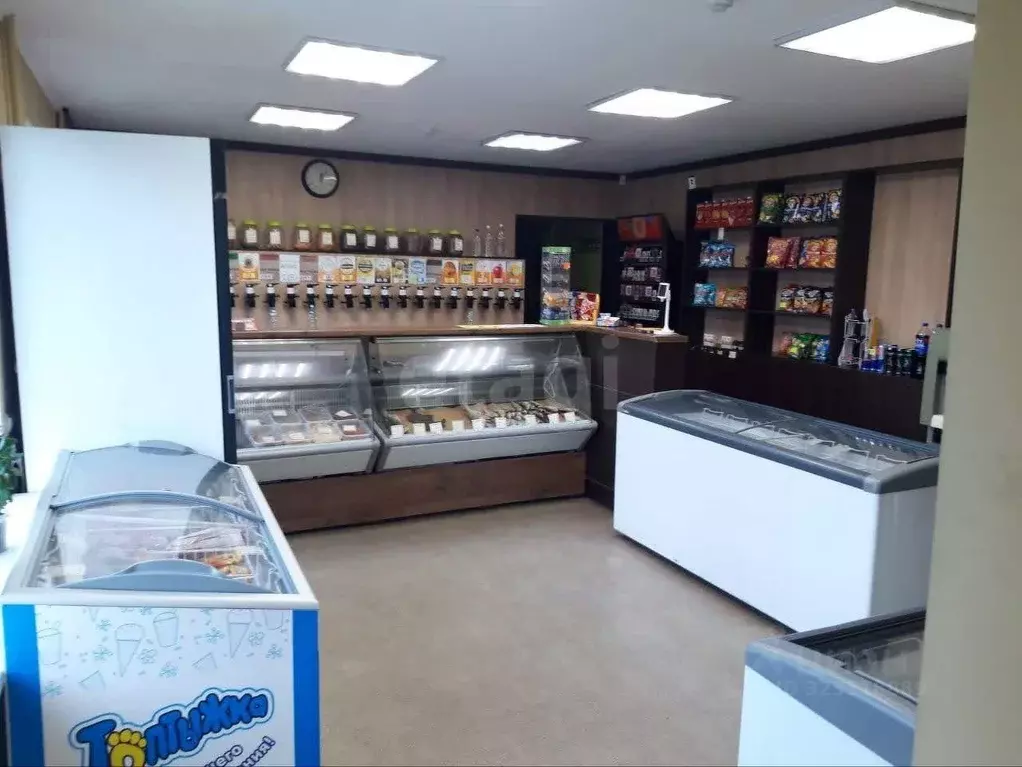 Торговая площадь в Удмуртия, Ижевск Красногеройская ул., 103 (58 м) - Фото 2