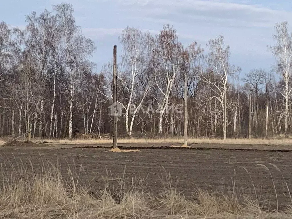 Участок в Воронежская область, Воронеж ул. Славянова, 14 (6.0 сот.) - Фото 2