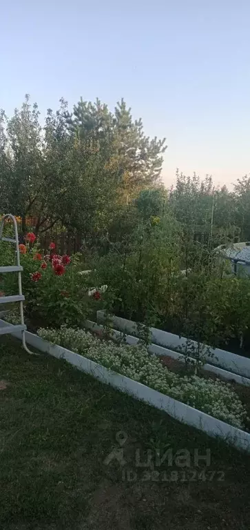 Дом в Саратовская область, Саратов Кировец-1 СНТ,  (20 м) - Фото 1